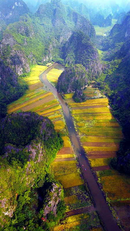 [-]Khách[-]Tây[-]ngỡ[-]ngàng[-]trước[-]vẻ[-]đẹp[-]Tam[-]Cốc[-]mùa[-]lúa[-]chín